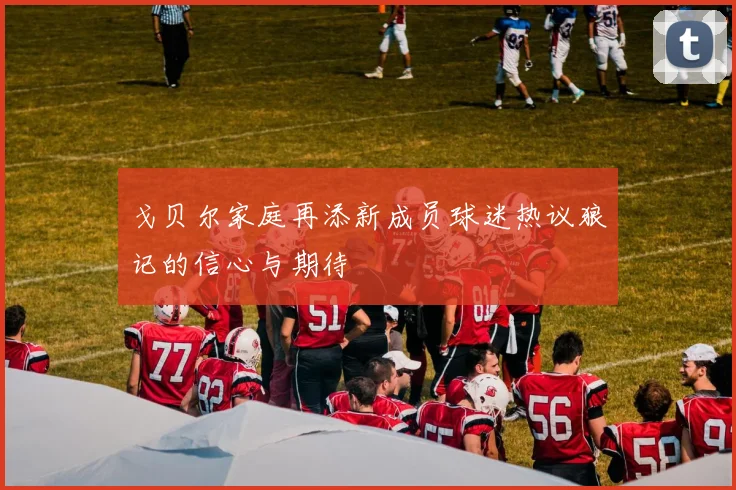 戈贝尔家庭再添新成员球迷热议狼记的信心与期待